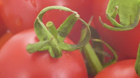 Cherry tomatoes swiftly rotating under studio lighting Stock-Footage 59905762