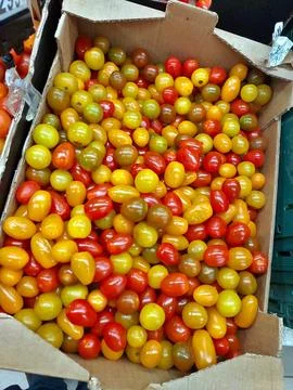 Cherry tomatoes in various colors are packed in a box at a market. These smal Stock Photos