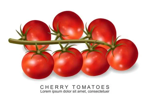 Cherry tomatoes vector realistic isolated on white 3d illustrations Stock Illustration