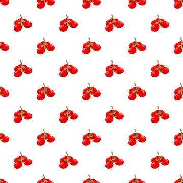 Cherry tomatoes on vine creating seamless background pattern Stock Illustration