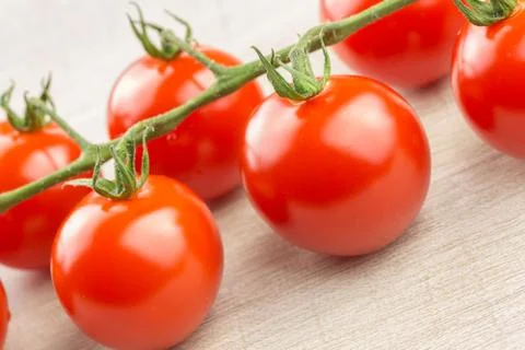 Cherry tomatoes on the vine Stock Photos