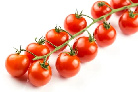 Cherry tomatoes on the vine Stock Photos