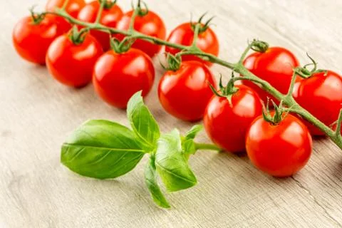 Cherry tomatoes on the vine Stock Photos