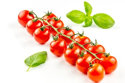 Cherry tomatoes on the vine Stock Photos