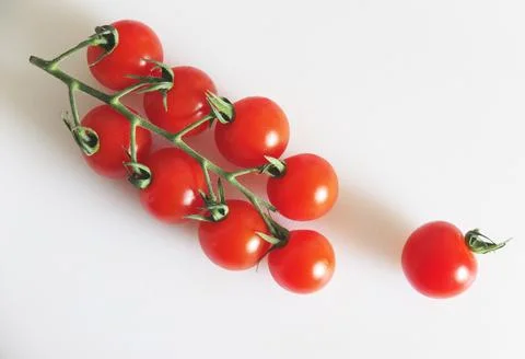 Cherry Tomatoes on the vIne Stock Photos