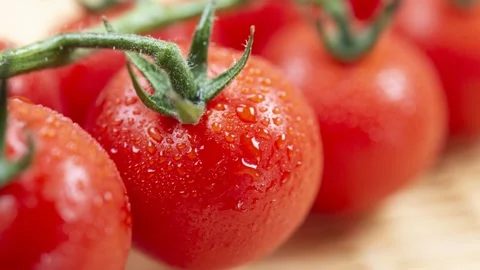 Cherry Tomatoes On Vine, White Background Stock Footage 337592285