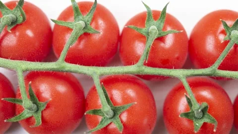 Cherry Tomatoes On Vine, White Background Stock Footage 337592334