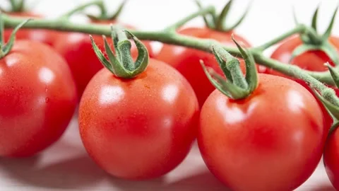 Cherry Tomatoes On Vine, White Background, Close-Up Stock Footage 337592485