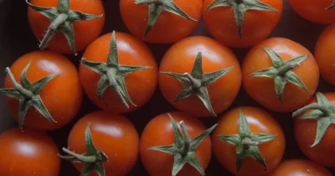 Cherry tomatoes with water drops close up studio shot over rotating Stock Footage 324838360