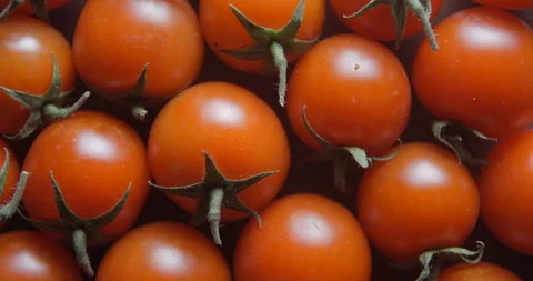 Cherry tomatoes with water drops close up studio shot over rotating Stock Footage 324838434