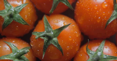 Cherry tomatoes with water drops close up studio shot over rotating Stock Footage 324838456