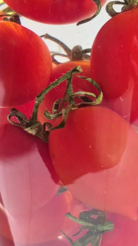 Cherry tomatoes in water in motion close-up on a light background Stock Footage 309998985