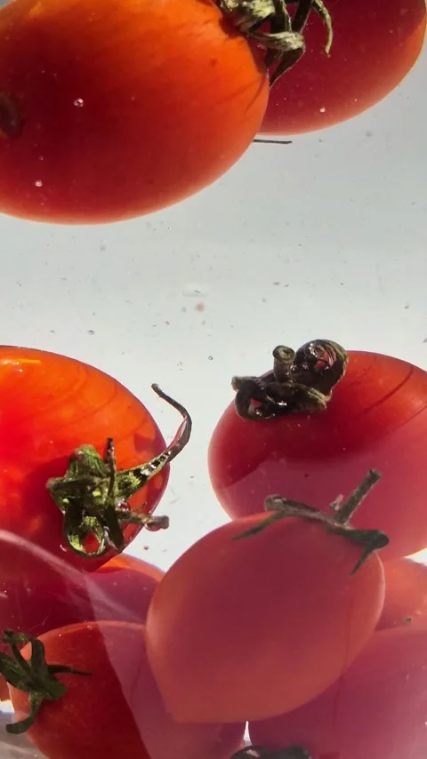 Cherry tomatoes in water in motion close-up on a light background Stock Footage 309998999