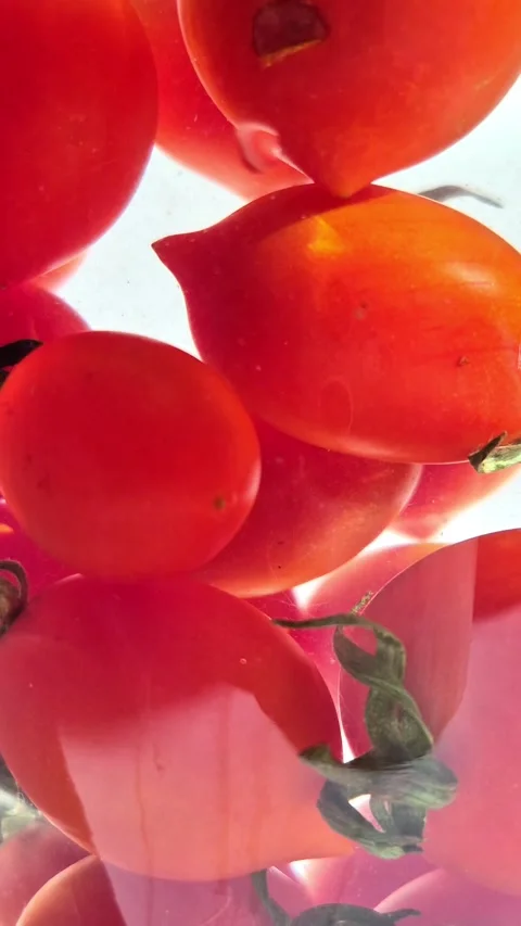 Cherry tomatoes in water in motion close-up on a light background Stock Footage 309999018