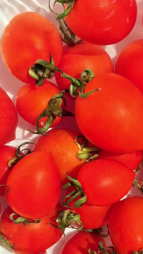 Cherry tomatoes in water in motion close-up on a light background Stock Footage 309999030