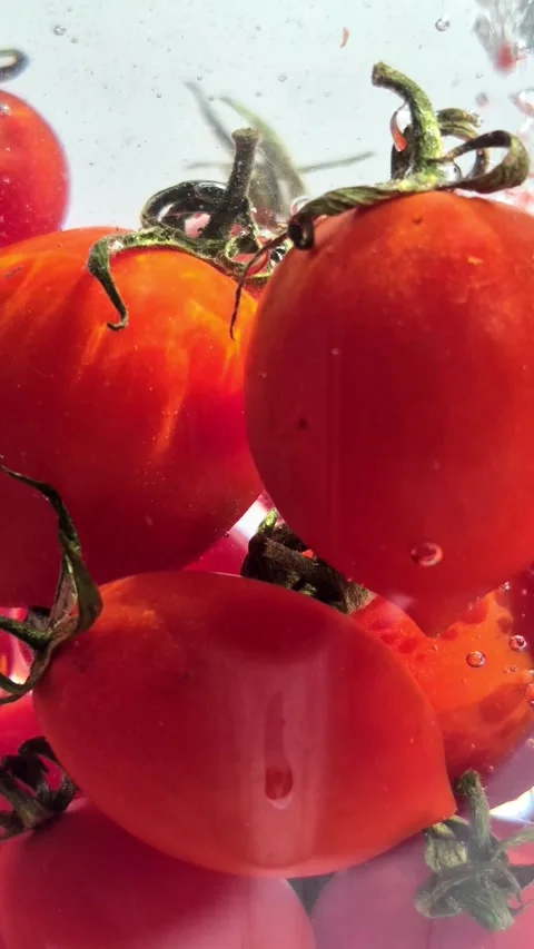 Cherry tomatoes in water in motion close-up on a light background Stock Footage 309999032