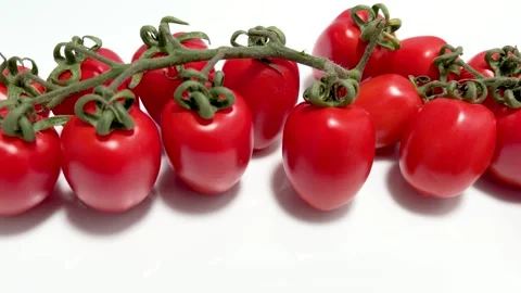 Cherry tomatoes on white background Stock Footage 271193387