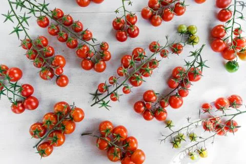 Cherry tomatoes on a white background Stock Photos