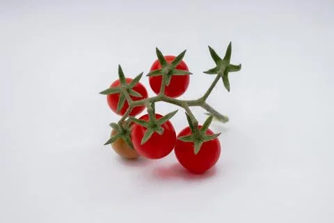 Cherry tomatoes on a white background Stock Photos