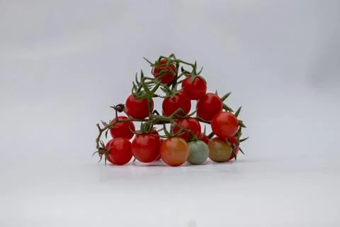 Cherry tomatoes on a white background Foto stock