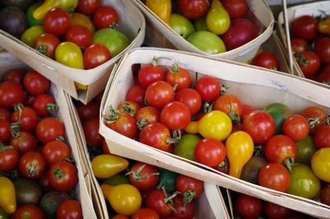 Cherry tomatos Foto stock