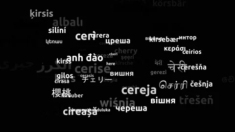 Cherry Translated in 71 Worldwide Languages Endless Looping 3d Zooming Wordcl Stock-Footage 145200747
