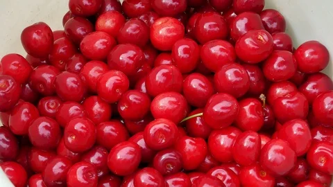 Cherry on the tree 4k Video stock 90900808