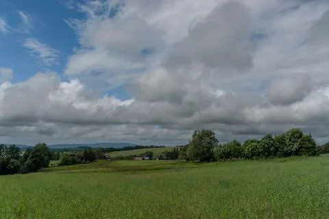 Cherry tree alone in green summer field in cloudy blue sky day Stock Photos