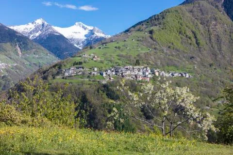 The cherry tree in bloom frames the alpine village of Bema, Orobie Alps, Gerola Stock Photos