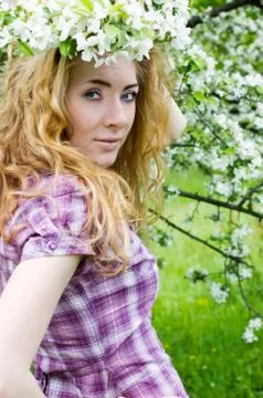 In cherry tree blossom Stock Photos