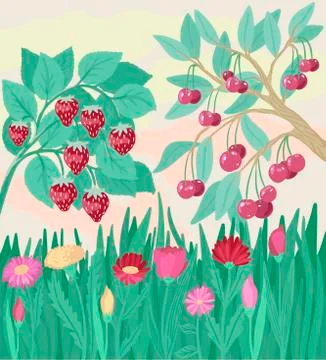 Cherry tree branches and strawberry bush with berries. Vector illustration of Stock Illustration