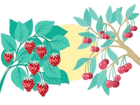 Cherry tree branches and strawberry bush with berries. Vector illustration of Stock Illustration