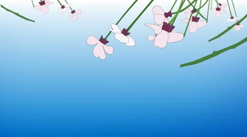 Cherry Tree Stock Footage 969027