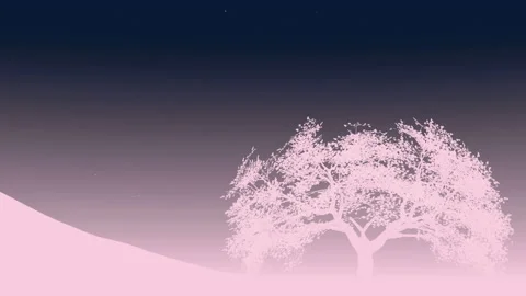 Cherry tree Stock Footage 136834817