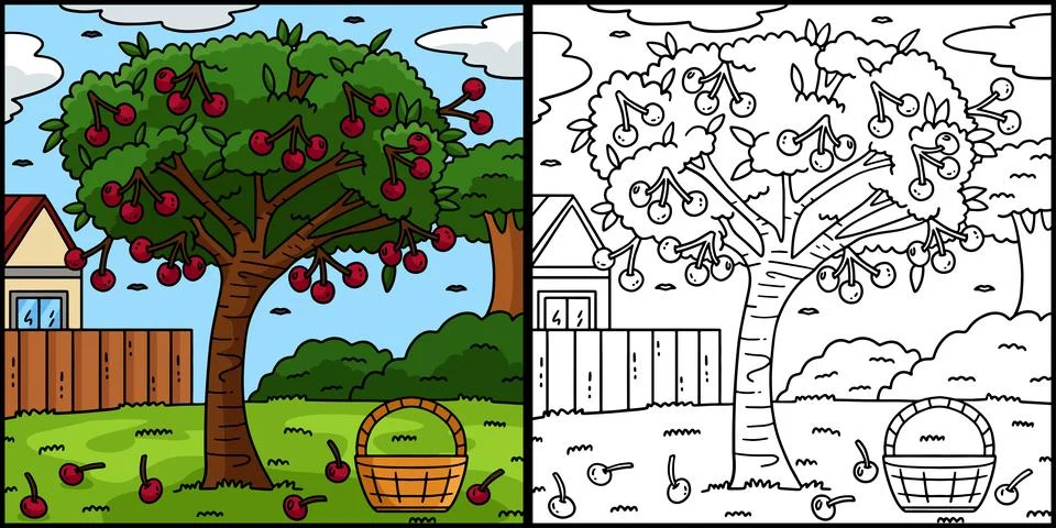 Cherry Tree Fruit Plant Coloring Page Illustration Stock Illustration