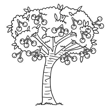 Cherry Tree Fruit Plant Isolated Coloring Page Stock Illustration
