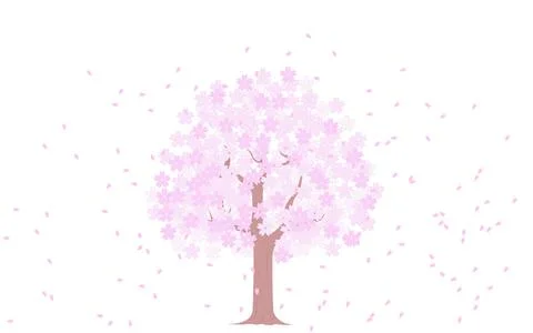 Cherry tree in full bloom and snowstorm, illustration material Stock Illustration