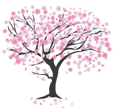 Cherry Tree Stock Illustration