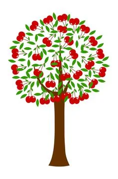 Cherry tree illustration on white background Stock Illustration