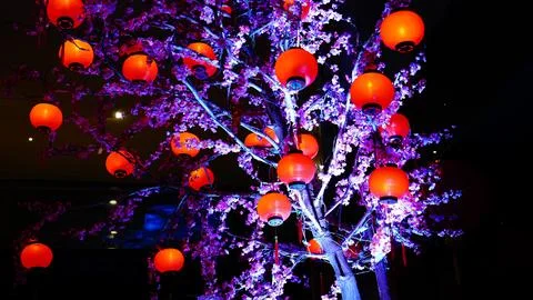 Cherry tree made of plastic hanging some Chinese lanterns Photos