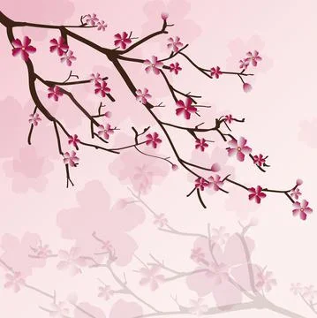 Cherry tree pink background illustration Stock Illustration