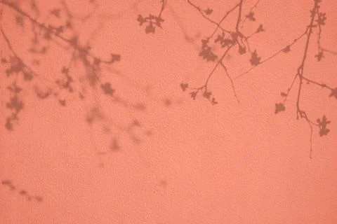 Cherry tree shadows on coral pink concrete wall texture background Stock Illustration