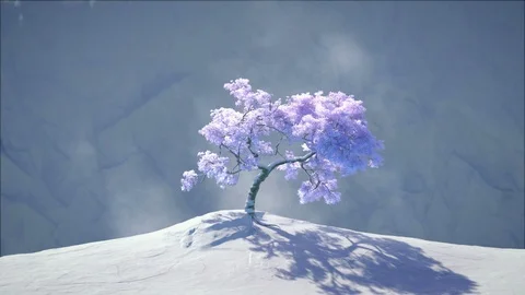 Cherry Tree in the Snow Stock Footage 96664984