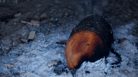 Cherry tree stump burning in fireplace lying in the ashes. Stock Footage 121844383