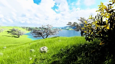 Cherry Trees on green field Video stock 72557917