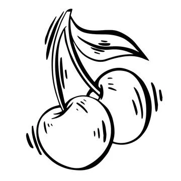 Cherry vector hand drawing set. Isolated berry on white background Stock Illustration