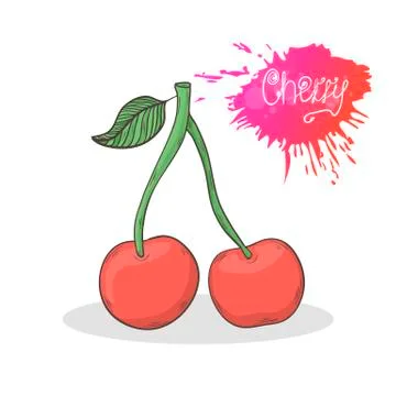 Cherry vector illustration Stock Illustration