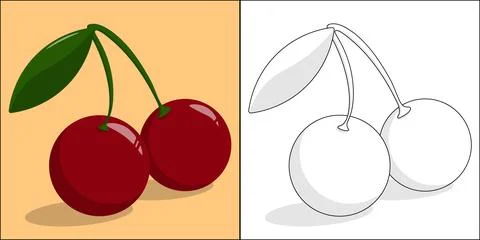 Cherry vector illustration Stock Illustration