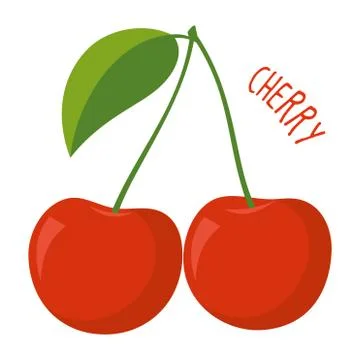 Cherry vector illustration isolated Stock Illustration