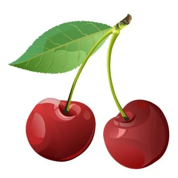 Cherry. Vector. Sweet and sour. Red. Garden fruits. Berry. Fresh, drink. Deli Stock Illustration